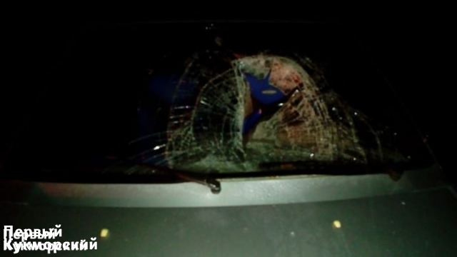 Фото В Кукморском районе 26-летний водитель насмерть сбил мужчину (фото) Кукмор