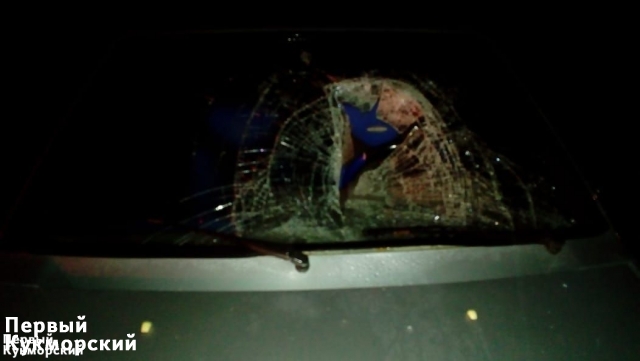 Фото В Кукморском районе 26-летний водитель насмерть сбил мужчину (фото) Кукмор