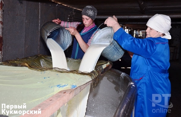 Фото Кукморский район первым в Татарстане вышел на 300 тонн молока в сутки Кукмор